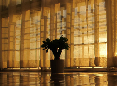 cortinas vanguardistas